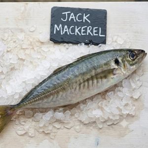 Frozen Jack Mackarel- 44lbs