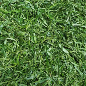 Frozen   Okazi- 500g/ 25 bags -