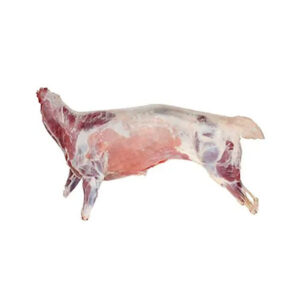 Whole Lamb (Halal) - 35lbs - 35 lb