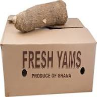 Fresh Ghana Puna Yam ? 50lb Bulk Wholesale Box | Premium Export Quality