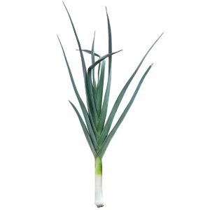 Packer Leeks Bagged 5-7ct