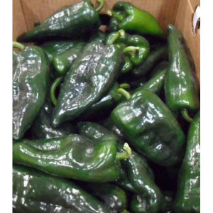Poblano Pepper, 1/2 bushel