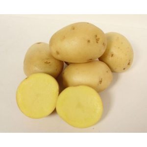 Yukon Gold A Potato - 50 lb box