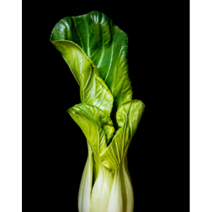 Produce Bok Choy b