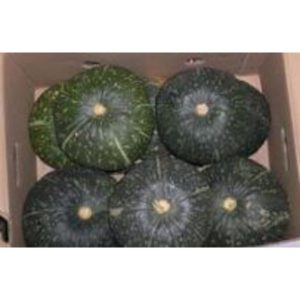 Kabocha Squash - 8-10 count