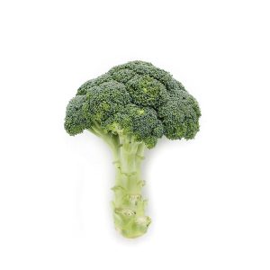 Fresh Broccoli 14CT