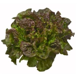 Green Leaf Lettuce - 4 ct