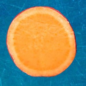 Murasaki Sweet Potatoes 12/3 bag