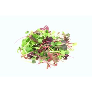 Microgreens