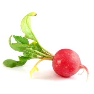 Radish, 5 ct bag