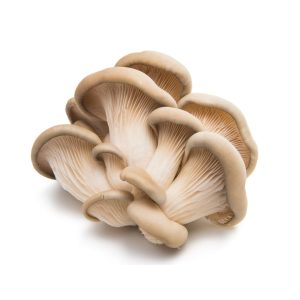 Oyster Mushrooms - 3 lbs