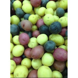 Baby Medley Potato - 10 lb box