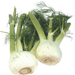 Fennel (Anise)