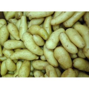 Fingerling Potato - 10 lb box