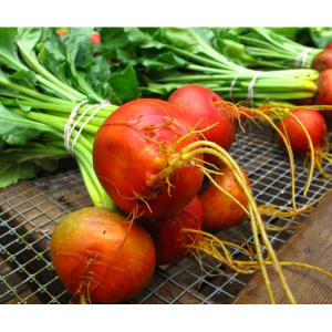 Golden Beets, 25 lb