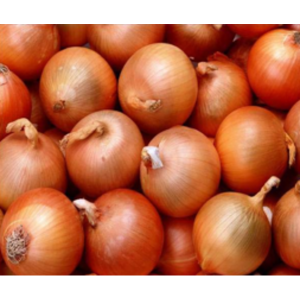 Yellow Onion - 10 lb bag