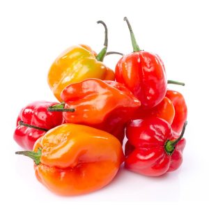 Habanero Peppers - 8 lbs