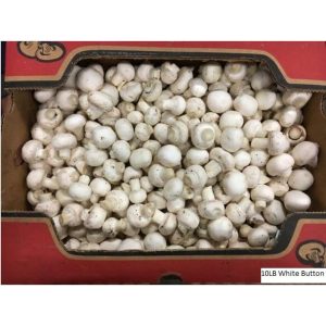 White Button Mushrooms - 10 lbs