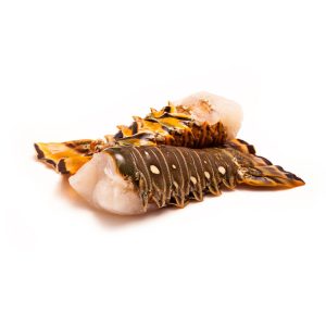 Frozen Warm Water Lobster Tails - 8 oz, no STPP, 5 lb box