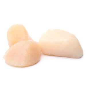 Frozen Sea Scallops - 20-30 ct, Dry, IQF, 5 lb bag