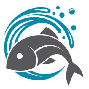 WILD CAUGHT YELLOW TAIL SNAPPER, .75-1 lb each - 10 lbs