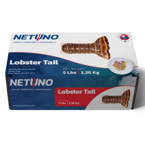 Frozen Netuno Lobster Tails, 10-12 oz each - 5 lbs