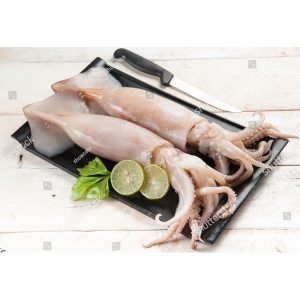 Frozen Squid - 5-8 inch tubes & tentacles (China) - 2.5 lb tray