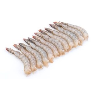 Frozen White Vannamei Shrimp - 16/20, Headless, shell-on - 4 lb blocks