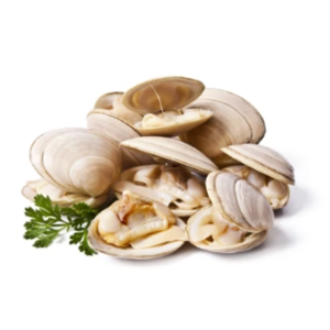White Hardshell Clams - 27-36ct/1lb