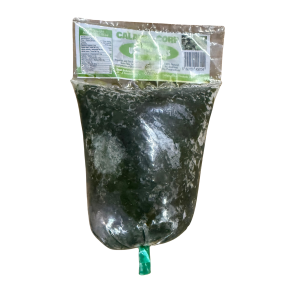 Frozen Utazi Leaves (Gongronema Latifolium) – Box of 50 Wholesale Bulk Case
