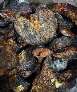 Smoked Catfish Chunks- box of 40lbs