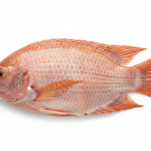 Fresh Red Tilapia – Whole Cleaned Fish - 10lb box